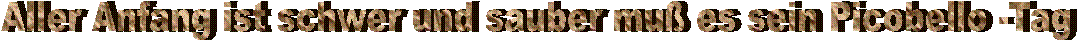 Aller Anfang ist schwer und sauber mu� es sein Picobello -Tag
